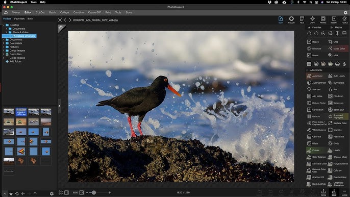 PhotoScape-X-Free-Download